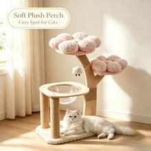 Solid Wood Flower Cat Tree with Space Capsule Nest & Sisal Scratcher