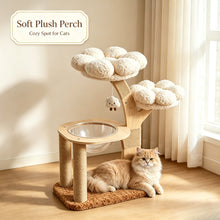 Solid Wood Flower Cat Tree with Space Capsule Nest & Sisal Scratcher
